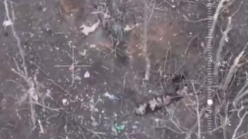 Російські військові розстріляли українських полонених поблизу Кліщіївки 