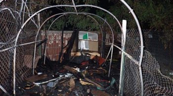 У Києві згорів притулок для тварин: там жило 60 котів