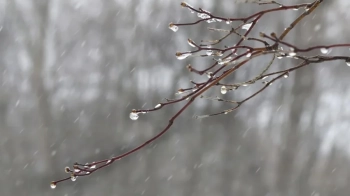 На Львівщини синоптики прогнозують дощ та мокрий сніг