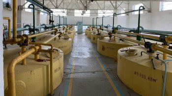 Зі спиртзаводу у Лопатині стягнули понад 600 тис. грн пені за змову на тендері