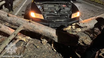 Падіння дерева на дорогу