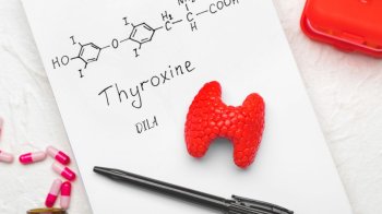 Вільний тироксин (Т4) в організмі людини