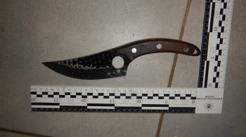 У Дрогобичі поліцейському порізали ножем обличчя під час виклику на домашнє насильство