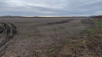 Поблизу Львова на аукціон виставили 50 га землі під промисловість