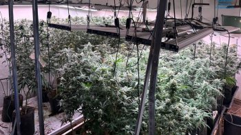 У Львові затримали наркоторговців з Дніпра з щомісячним прибутком 3 млн грн