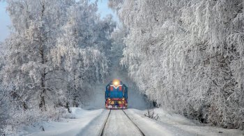 Укрзалізниця запускає додаткові потяги у напрямку Львова та гір: розклад