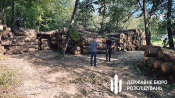Вирубали лісу на майже 40 млн: затримали директора Нацпарку на Волині