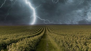 На Львівщині 20 вересня прогнозують грозу