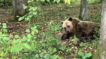На Львівщині відкрили нову екологічну стежку