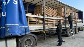 На Львівщині викрили спробу вивезення деревини в Нідерланди на мільйон гривень