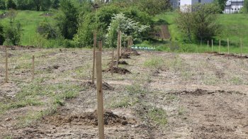 У Дрогобичі з’явиться Парк Нескорених