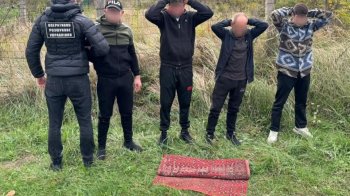 На Закарпатті ухилянти намагалися перелізти паркан кордону з килимом