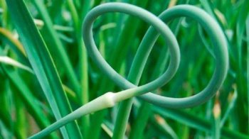 часникові стрілки рецепт