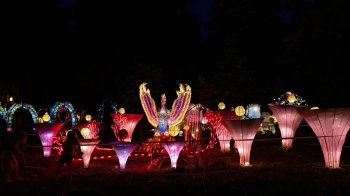 Безкоштовний вхід до Парку ліхтарів у Львові: хто може потрапити