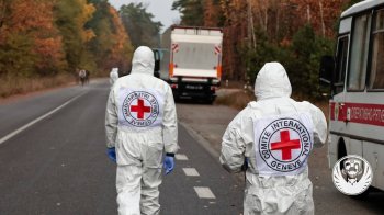 В Україну повернули 252 тіла, які можуть належати загиблим військовослужбовцям ЗСУ