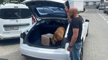 30-річного львівʼянина ув'язнили за збут екстезі та коноплі