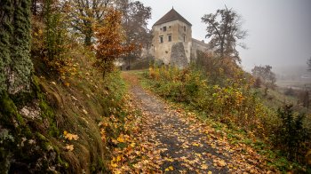 Фото: LVIV.MEDIA