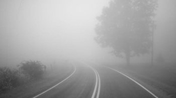 Заморозки та туман: якою буде погода 30 квітня у Львівській області