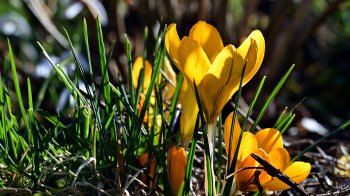 26 травня: церковні свята, іменинники, прикмети та заборони