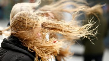 Очікується сильний вітер: на Львівщині оголосили штормове попередження