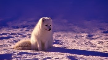 Синоптики прогнозують різку зміну погоди вже сьогодні ввечері