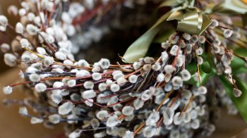 Що можна робити у Вербну неділю: привітання та прикмети