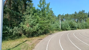 У Новояворівську за 10 млн грн продали землю під спортивний об'єкт