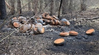 Всю ніч не вщухають обстріли: ситуація на фронті 15 квітня