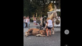 Падіння коня