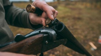 На Львівщині селянин застрелив собаку через вівцю