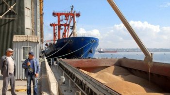 Перше з 24 лютого судно з українським зерном пройшло інспекцію в Туреччині