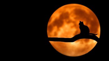 Список фільмів жахів для перегляду в пʼятницю 13-го