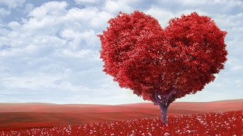 Дерево серце в червоному полі