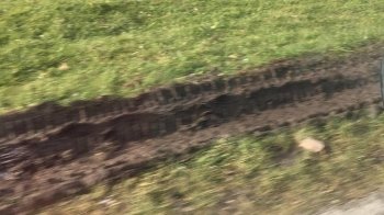 У Львові скаржаться на забудовника, який вантажівками нищить газони (фото)