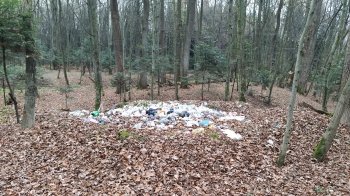 На Львівщині виявили ще два несанкціоновані сміттєзвалища