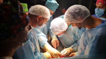 Трансплантація