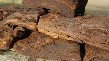 Спецдозвіл на користування ділянкою торфу на Львівщині продають вдвічі дешевше