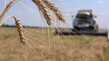 Фермерам Львівщини частково відшкодують вартість насіння