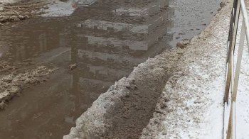 На дорогах снігова каша: львів`яни скаржаться, що засніжені вулиці не прибирають