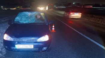 На трасі біля Львова автомобіль на смерть збив 42-річного чоловіка