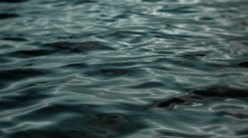 У річці Тисмениці біля Дрогобича можливий вихід води: попереджають про небезпеку