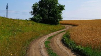 На Львівщині водій на смерть збив чоловіка на польовій дорозі та втік