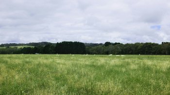 У громадянки Росії на Самбірщині конфіскували 7 ділянок землі