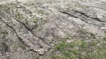 Паркуються на газоні та руйнують його: у Львові люди обурені недобросовісними водіями