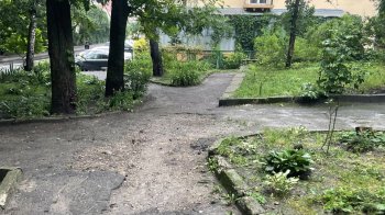 Львів’яни просять привести до ладу сквер на Чупринки