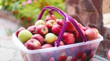 У Львові триває акція "Фруктовий кошик для Захисника України": як долучитися