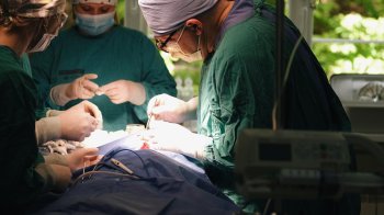 Американські хірурги безкоштовно консультуватимуть дітей у львівському “Охматдиті”