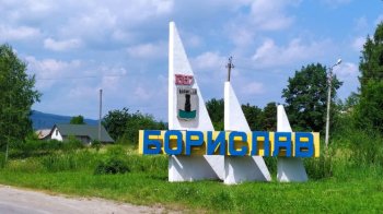 У Бориславі німецькі вівчарки загризли лисицю зі сказом: у місті оголосили карантин