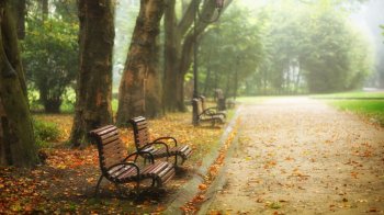 Стрийський парк