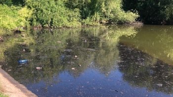 В озері на Сихові виявили нафтопродукти та сміття